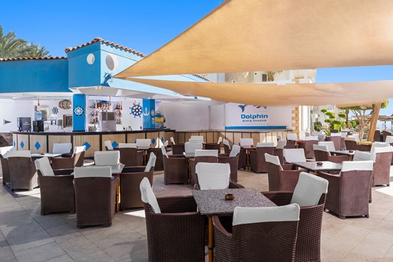 Dolphin Beach Bar